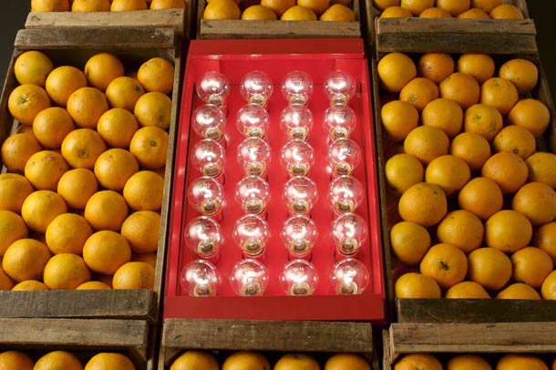 Lámparas expuestas entre cajones de fruta